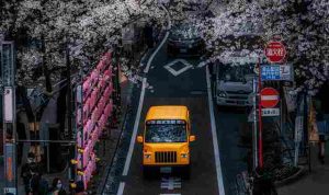 arif-angga-ibrahim-Xq3qoiLFWBE-unsplash_11zon